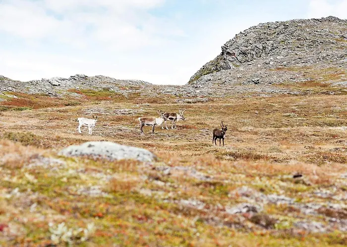 6 Person In Rennebu-by Traum * Sundset